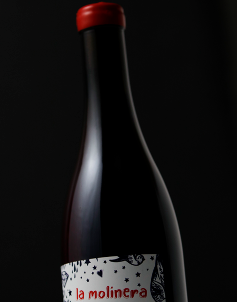 rosados_vino_bio